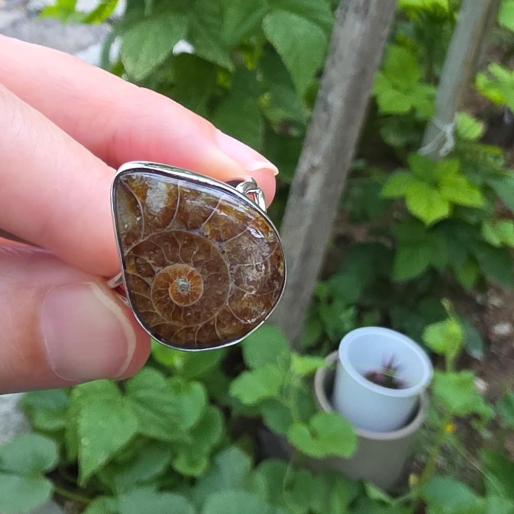 AMMONİT KOLEKSİYON GÜMÜŞ 5,90GR YÜZÜK A9