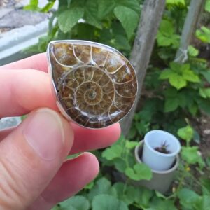 Alternative view of AMMONİT KOLEKSİYON GÜMÜŞ 10,95GR YÜZÜK A6