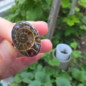 Alternative view of AMMONİT KOLEKSİYON GÜMÜŞ 8,75GR YÜZÜK A10
