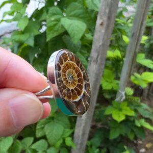 Alternative view of AMMONİT KOLEKSİYON GÜMÜŞ  9,30GR YÜZÜK A17