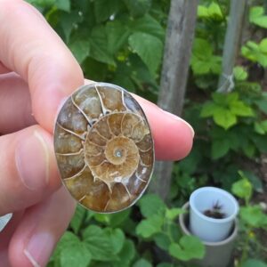 AMMONİT KOLEKSİYON GÜMÜŞ 9,15GR YÜZÜK A7 - Görsel 3