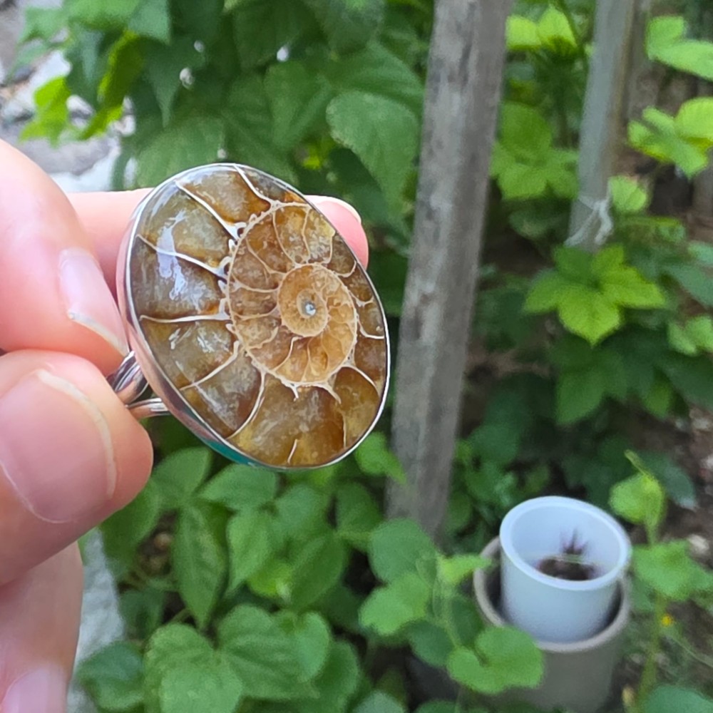 AMMONİT KOLEKSİYON GÜMÜŞ 9,15GR YÜZÜK A7