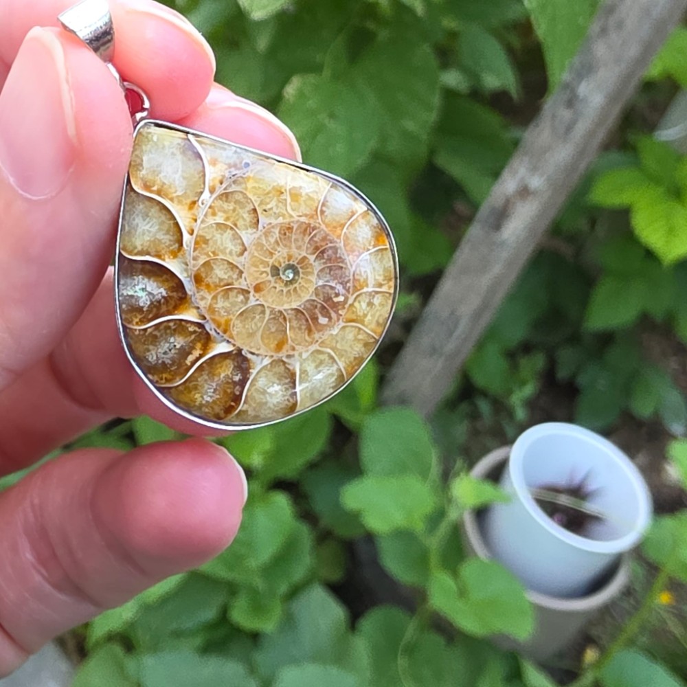 AMMONİT KOLEKSİYON GÜMÜŞ 8,08GR KOLYE UCU - Görsel 3
