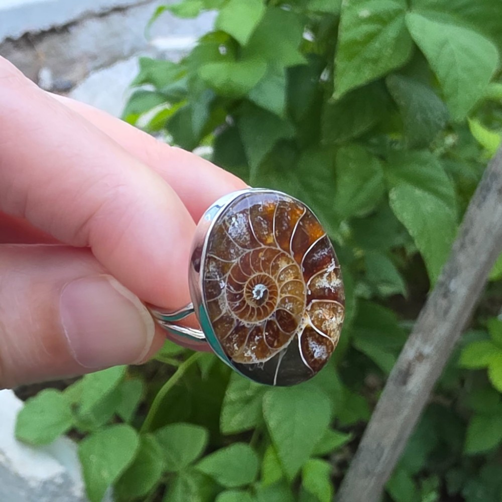 AMMONİT KOLEKSİYON GÜMÜŞ  7,20GR YÜZÜK A14