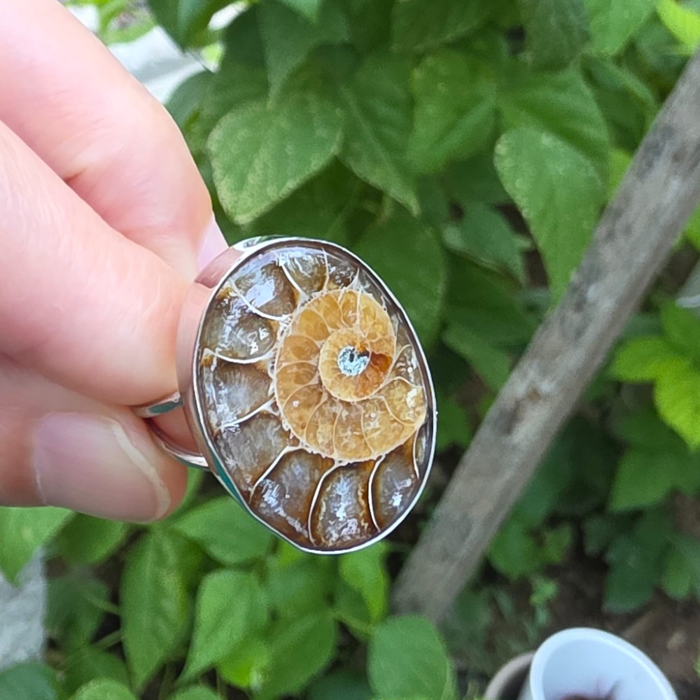 AMMONİT KOLEKSİYON GÜMÜŞ  8,80GR YÜZÜK A13
