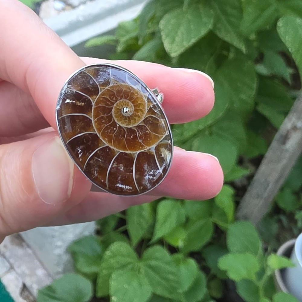 AMMONİT KOLEKSİYON GÜMÜŞ  7,80GR YÜZÜK A12