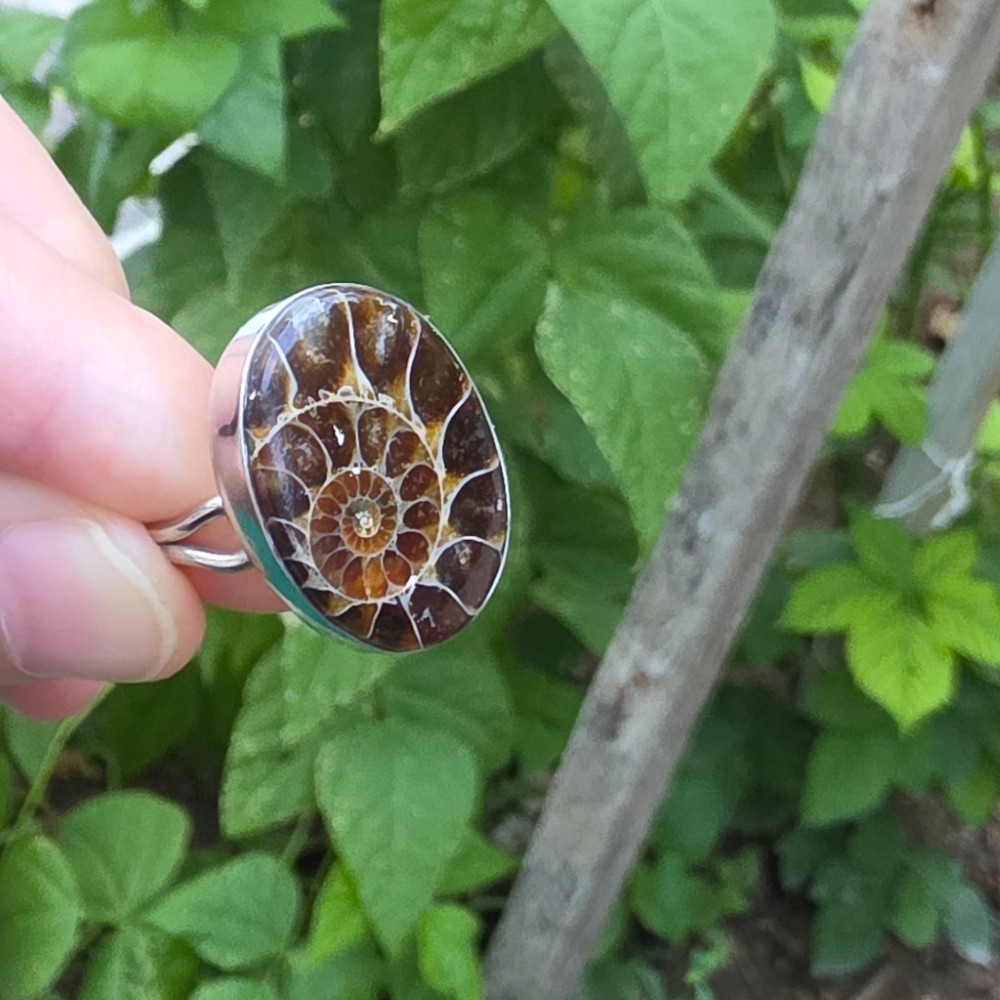 AMMONİT KOLEKSİYON GÜMÜŞ  7,50GR YÜZÜK